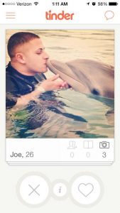 Hvorfor har mænd delfiner på deres Tinder-profil